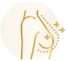 mastopexy-icon